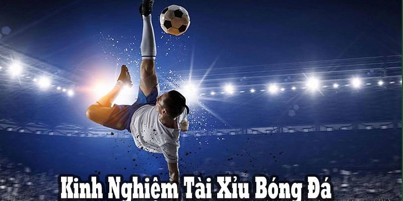 Kinh nghiệm đặt cược kèo tài xỉu 2 3 4 săn thưởng lớn